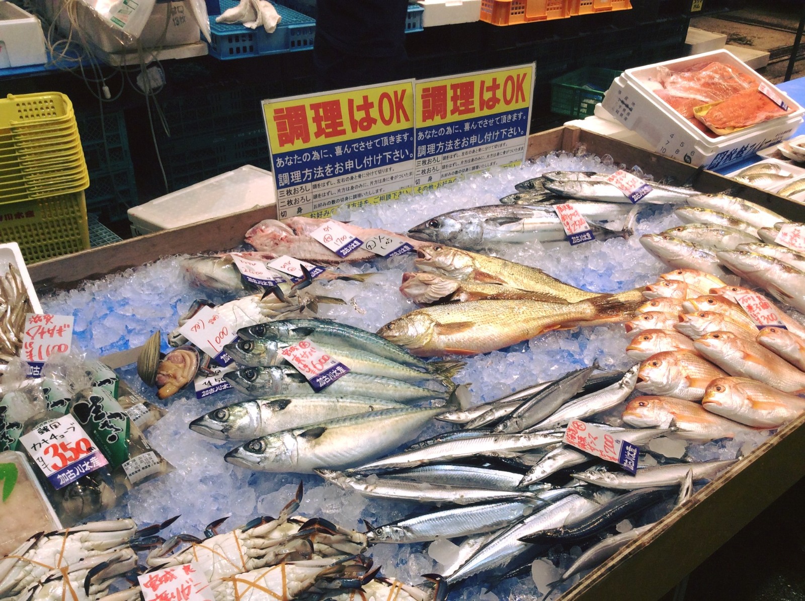 鮮魚売り場2.jpg
